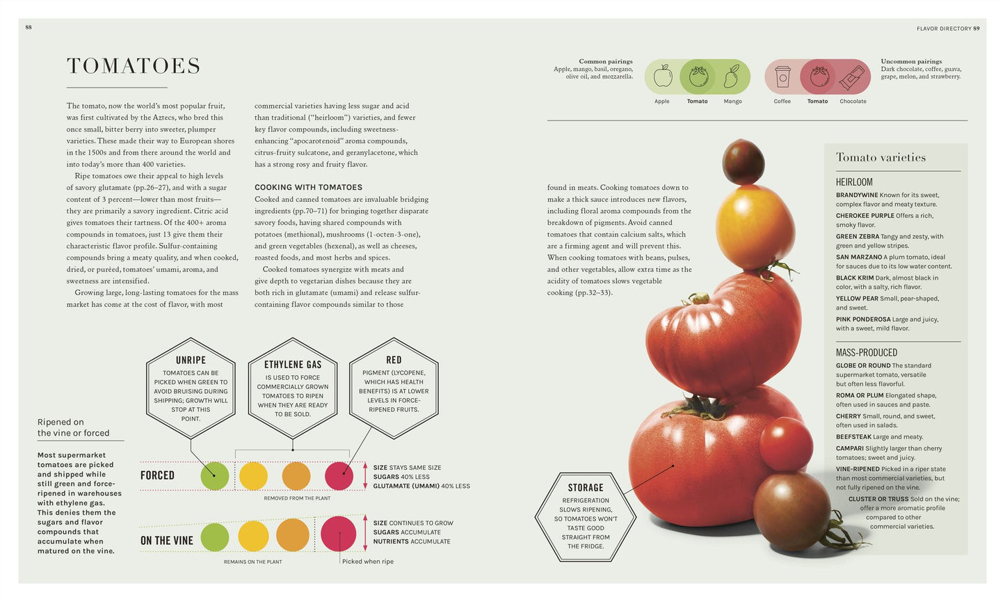 The Science of Flavor: Unlock the Secrets Behind the Art of Flavorful Cooking