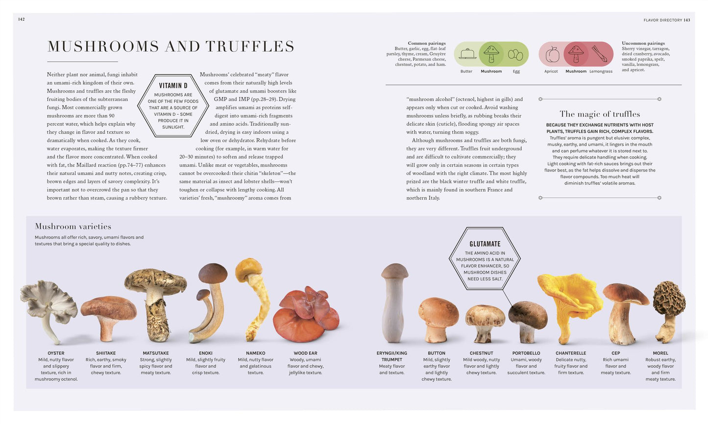 The Science of Flavor: Unlock the Secrets Behind the Art of Flavorful Cooking