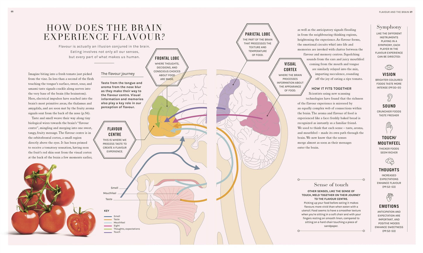 The Science of Flavor: Unlock the Secrets Behind the Art of Flavorful Cooking