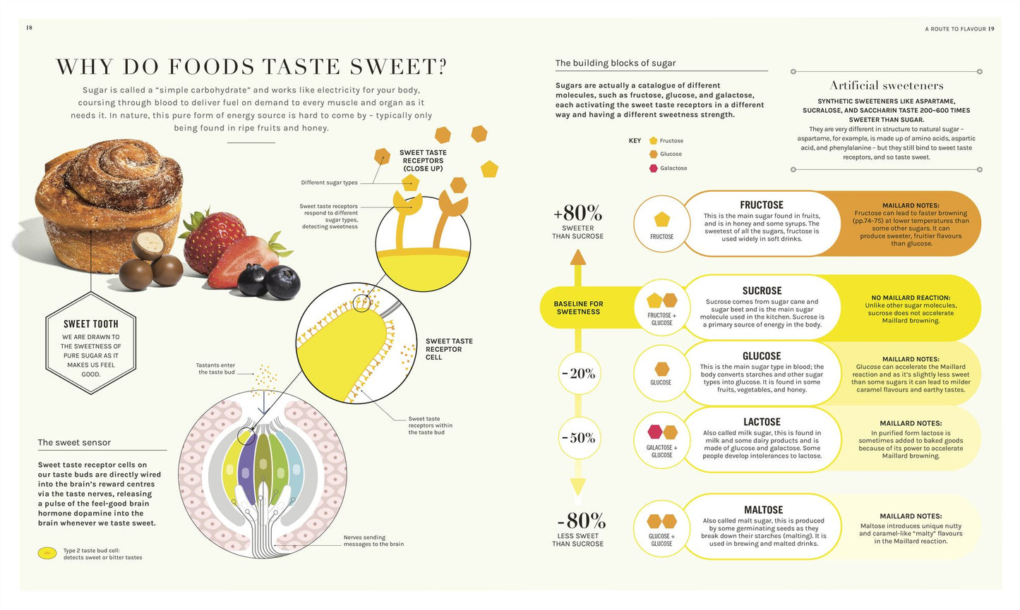 The Science of Flavor: Unlock the Secrets Behind the Art of Flavorful Cooking