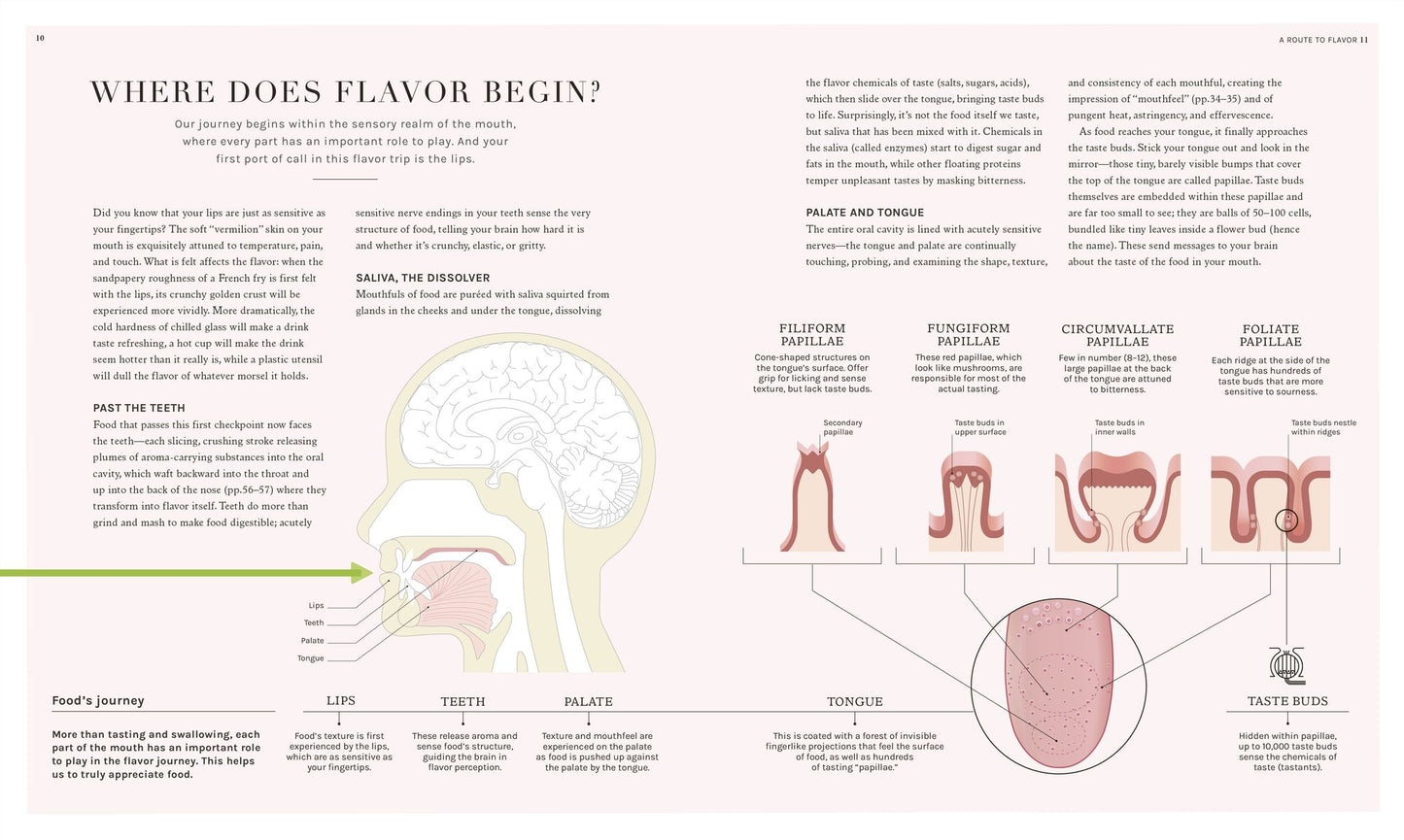 The Science of Flavor: Unlock the Secrets Behind the Art of Flavorful Cooking