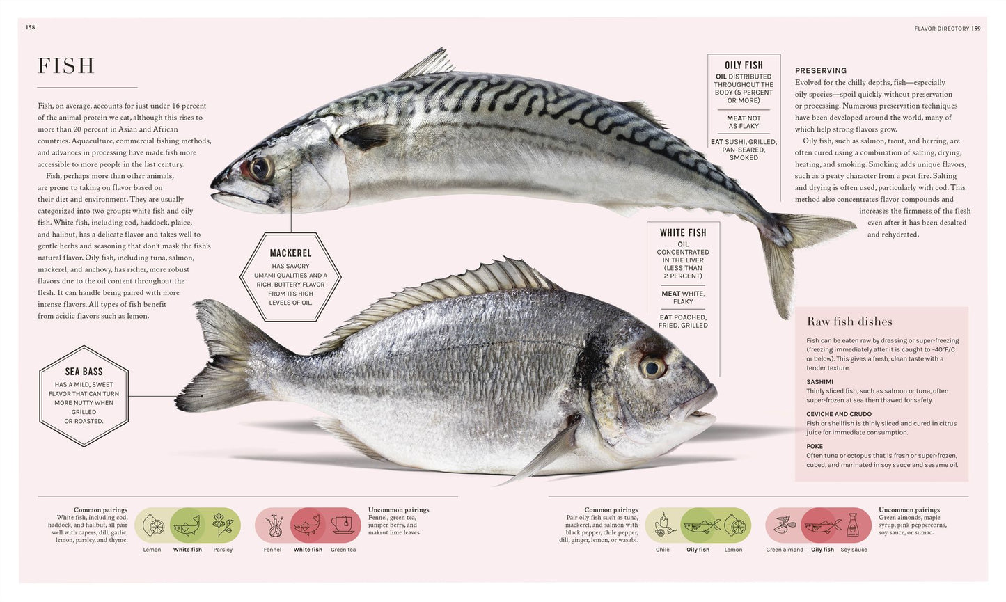 The Science of Flavor: Unlock the Secrets Behind the Art of Flavorful Cooking