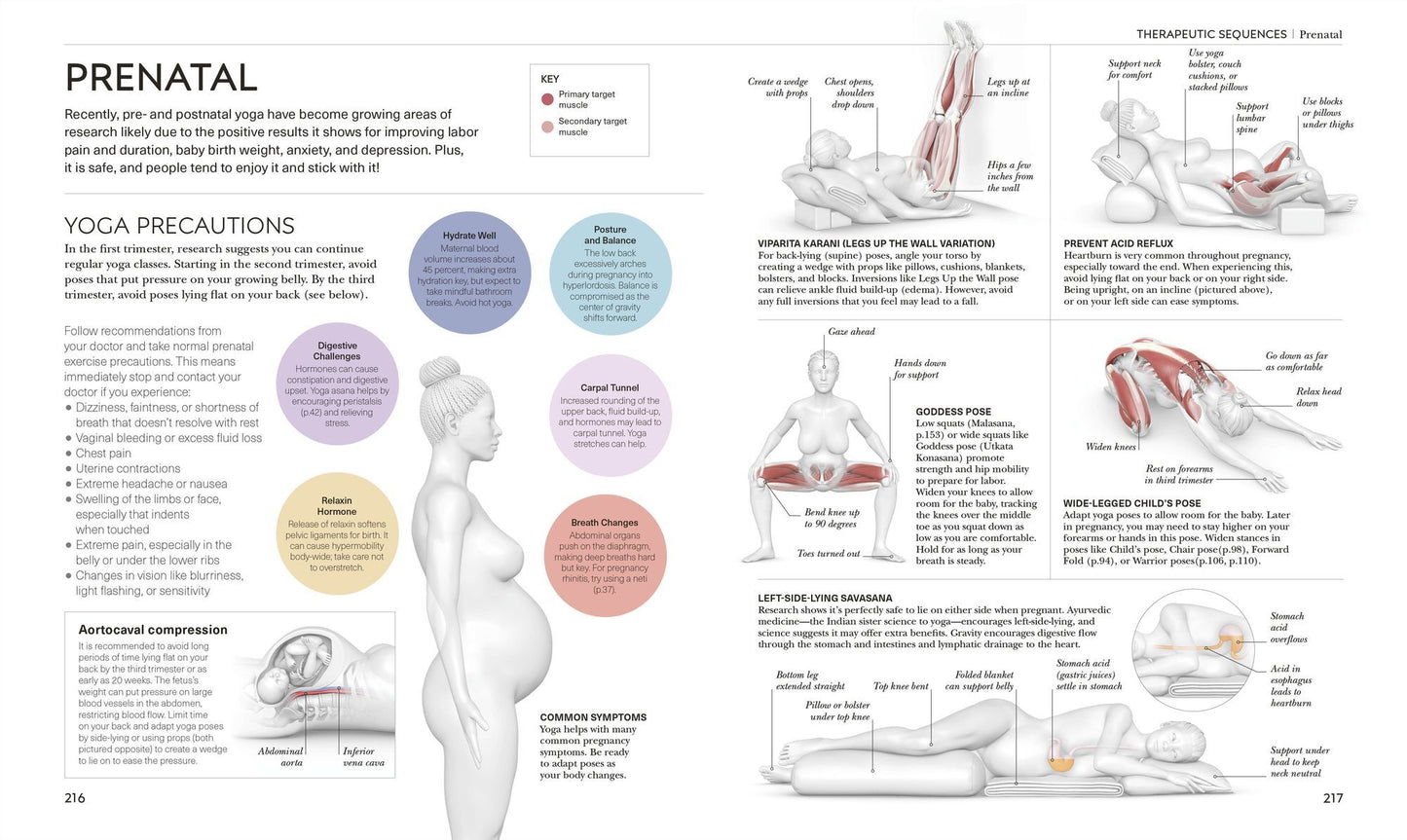 Science of Yoga: Understand the Anatomy and Physiology to Perfect Your Practice