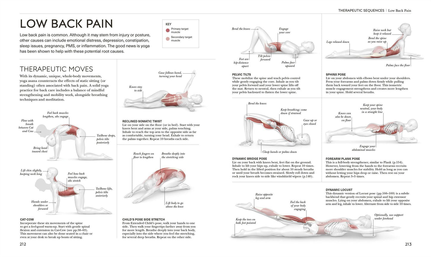 Science of Yoga: Understand the Anatomy and Physiology to Perfect Your Practice