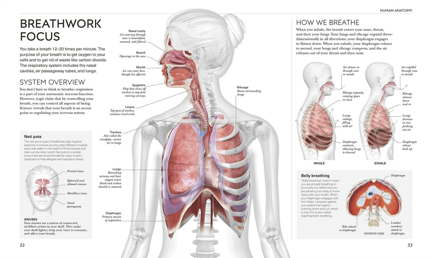 Science of Yoga: Understand the Anatomy and Physiology to Perfect Your Practice
