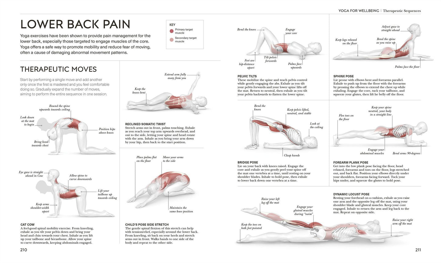 Science of Yoga: Understand the Anatomy and Physiology to Perfect Your Practice