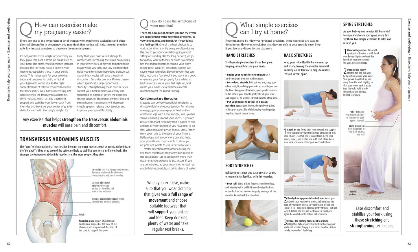 The Pregnancy Encyclopedia: All Your Questions Answered