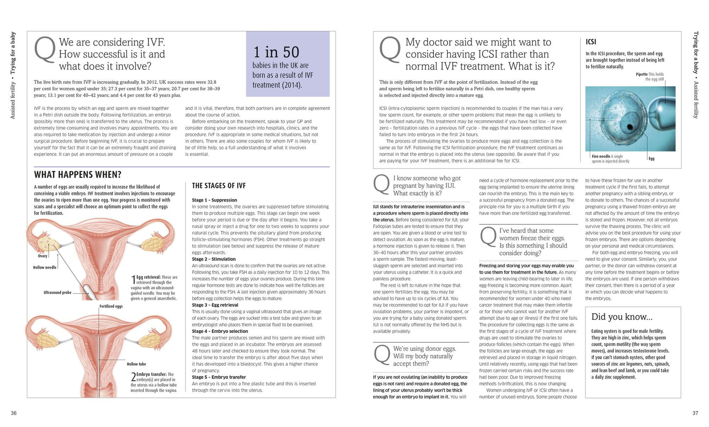 The Pregnancy Encyclopedia: All Your Questions Answered