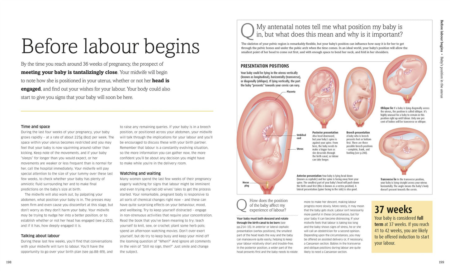The Pregnancy Encyclopedia: All Your Questions Answered