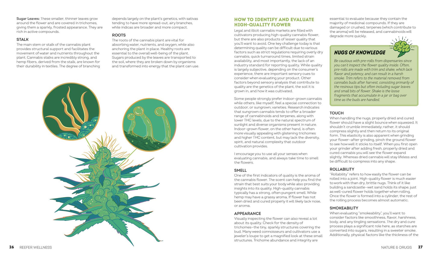Reefer Wellness: Understanding Cannabis Science, Culture, and Medicine
