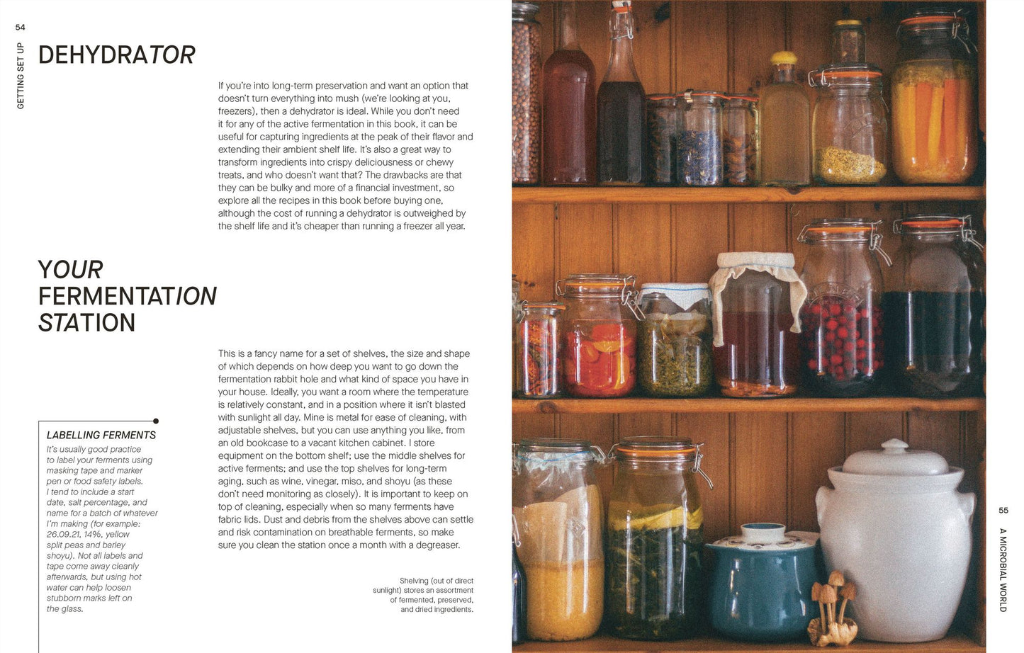 The Fermentation Kitchen: Recipes and Techniques for Kimchi, Kombucha, Koji, and More.