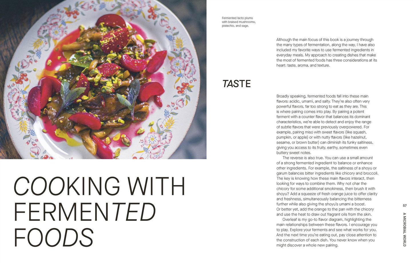 The Fermentation Kitchen: Recipes and Techniques for Kimchi, Kombucha, Koji, and More.