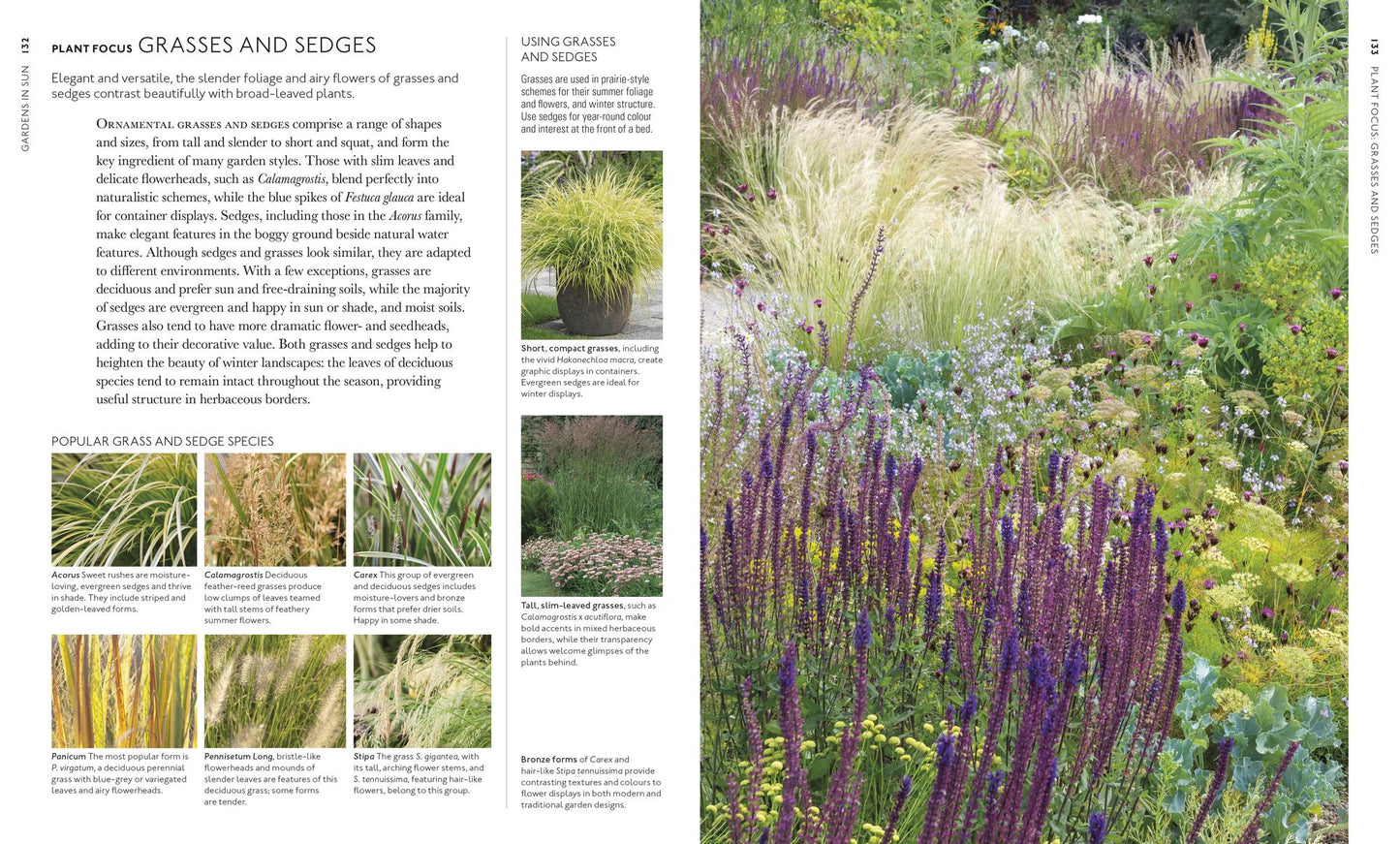 Encyclopedia of Garden Plants for Every Location: An Expert Guide to More Than 3,000 Plants