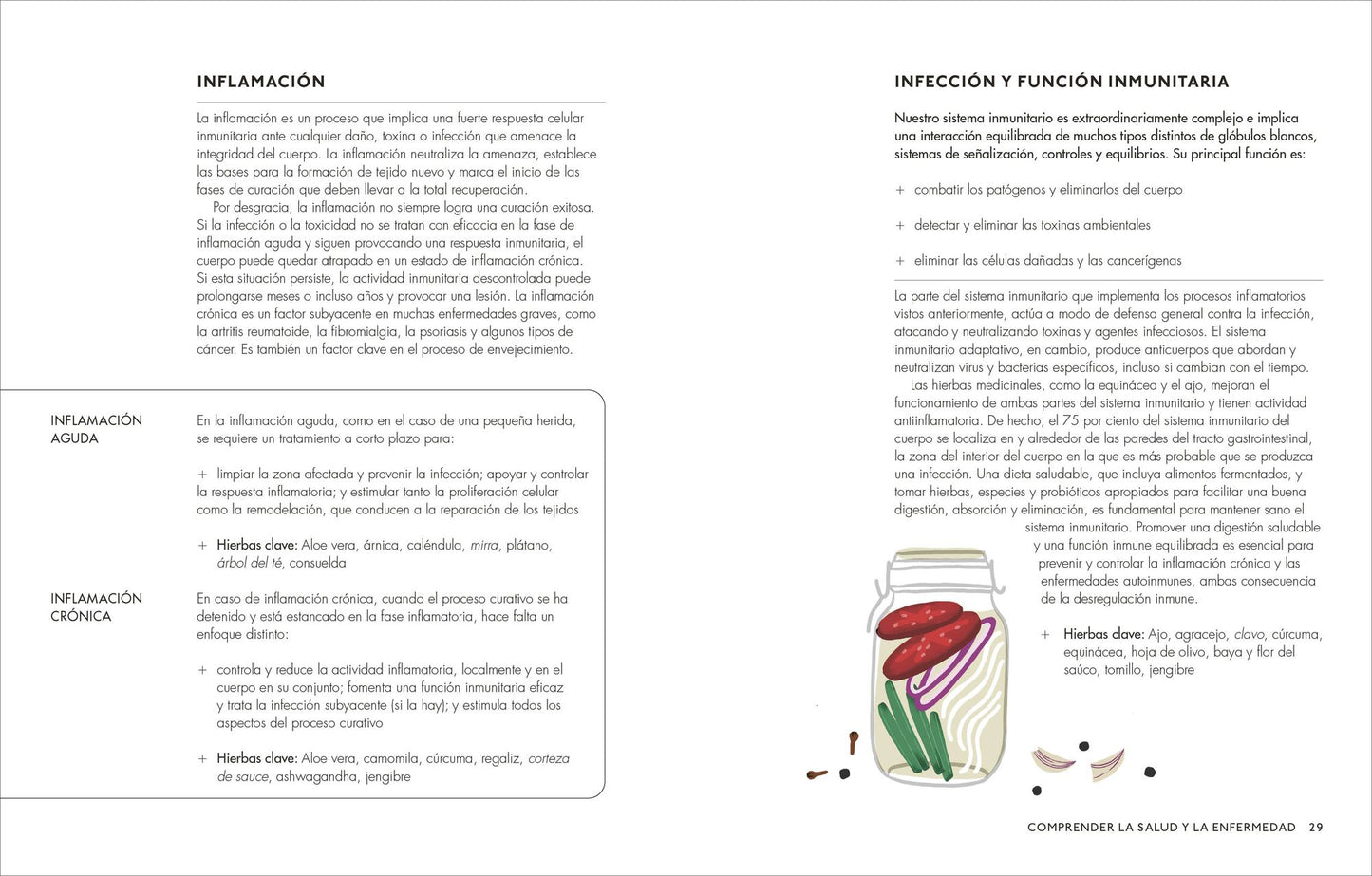Plantas medicinales (The Home Herbal): Guía práctica de remedios caseros para cuerpo y mente