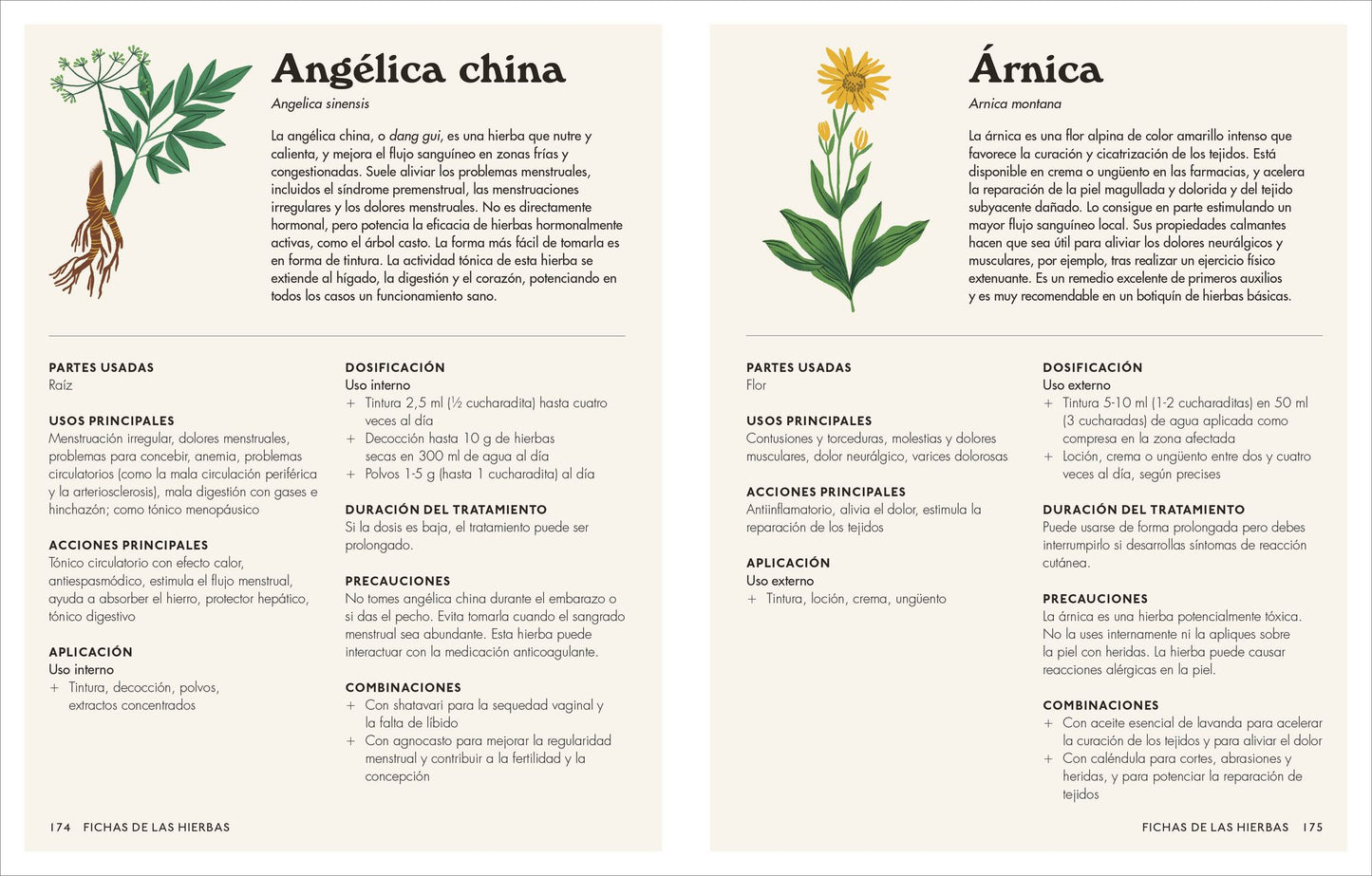 Plantas medicinales (The Home Herbal): Guía práctica de remedios caseros para cuerpo y mente