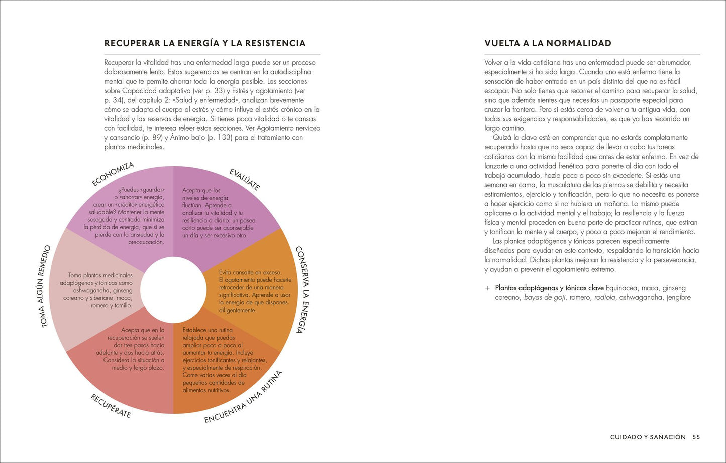 Plantas medicinales (The Home Herbal): Guía práctica de remedios caseros para cuerpo y mente