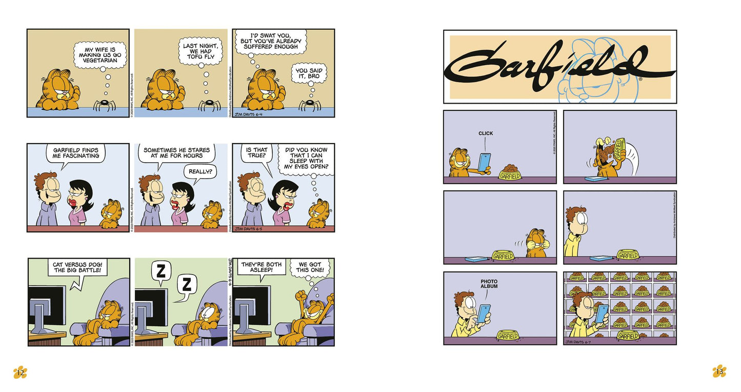Garfield Fat Cat 3-Pack #25
