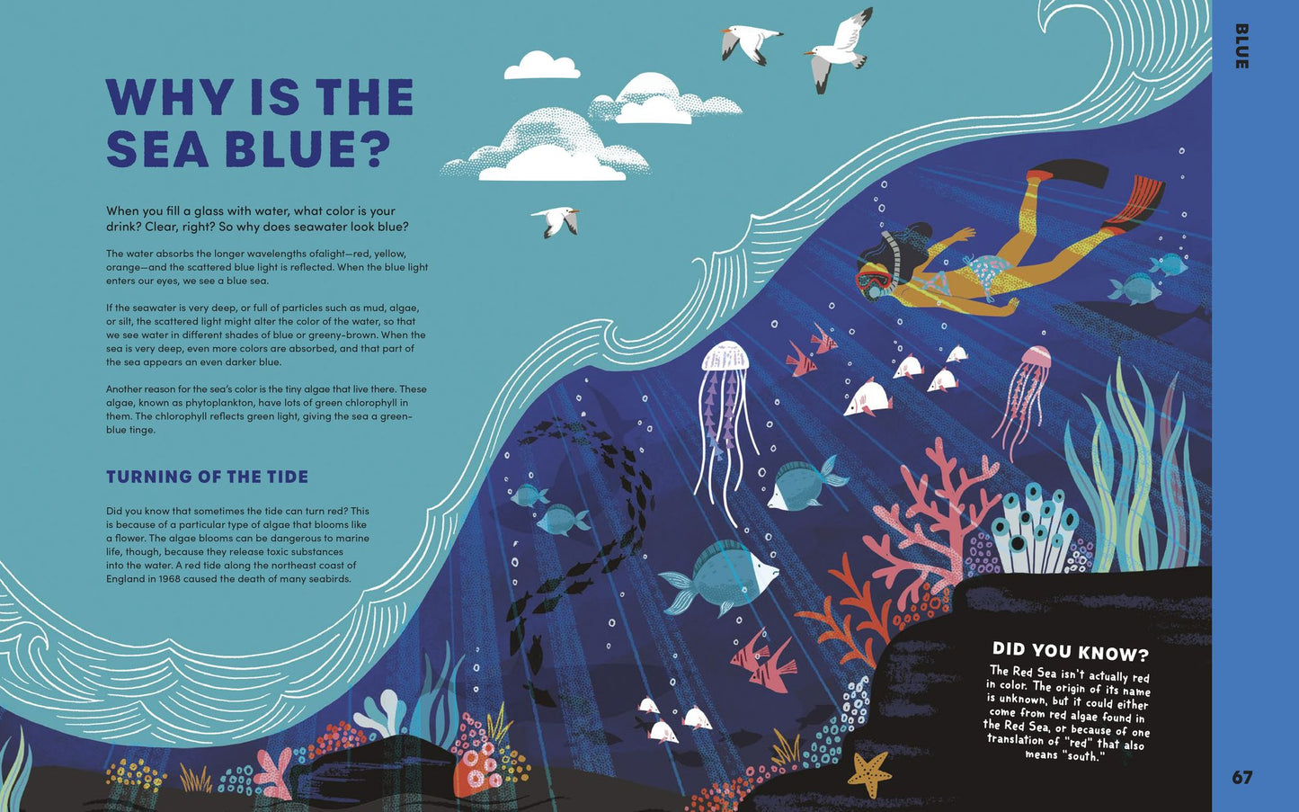 Are There Rainbows in Space?: A Colorful Compendium of Seriously Cool Science