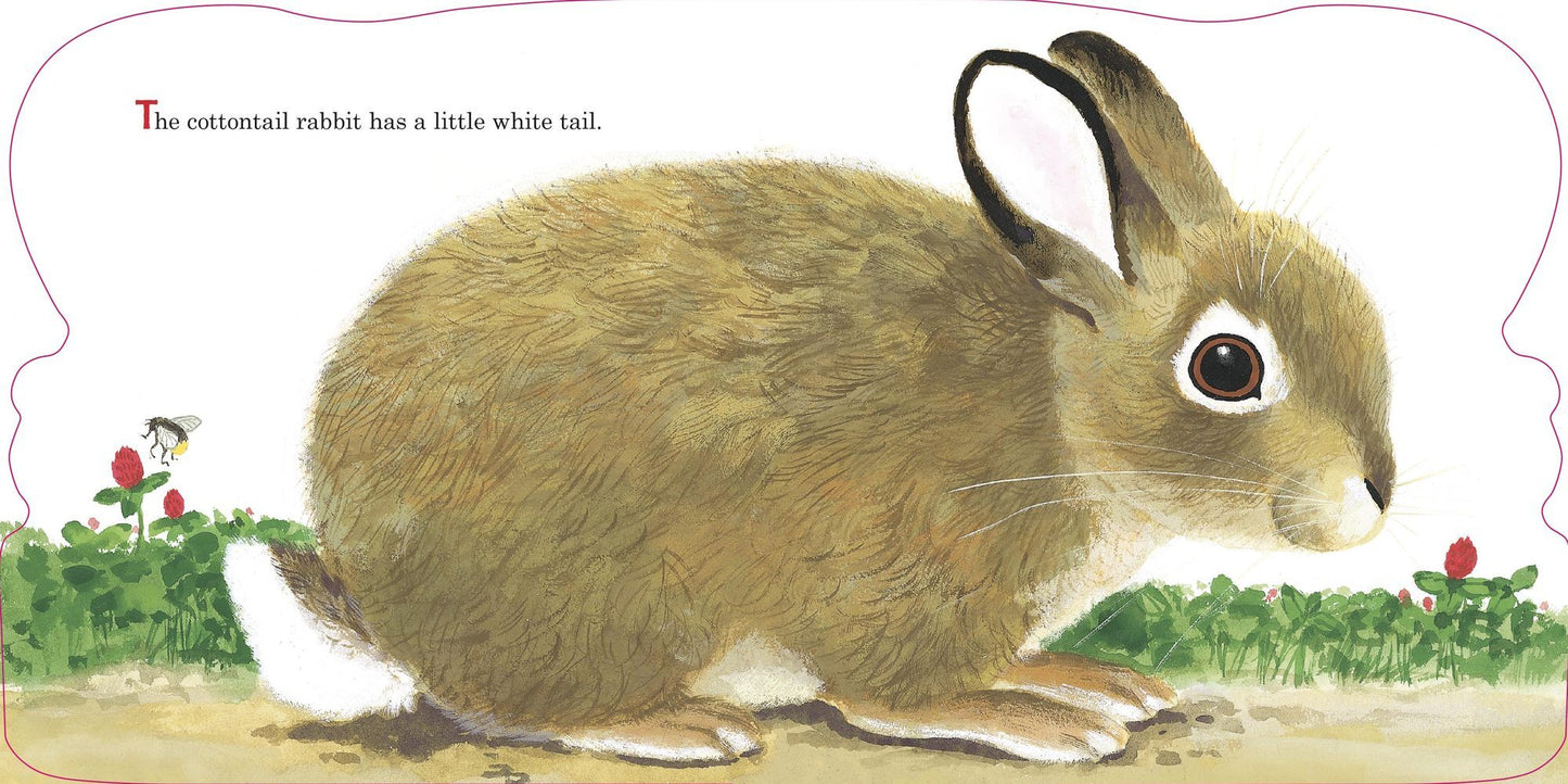 Richard Scarry's Bunnies: A Classic Board Book for Babies and Toddlers