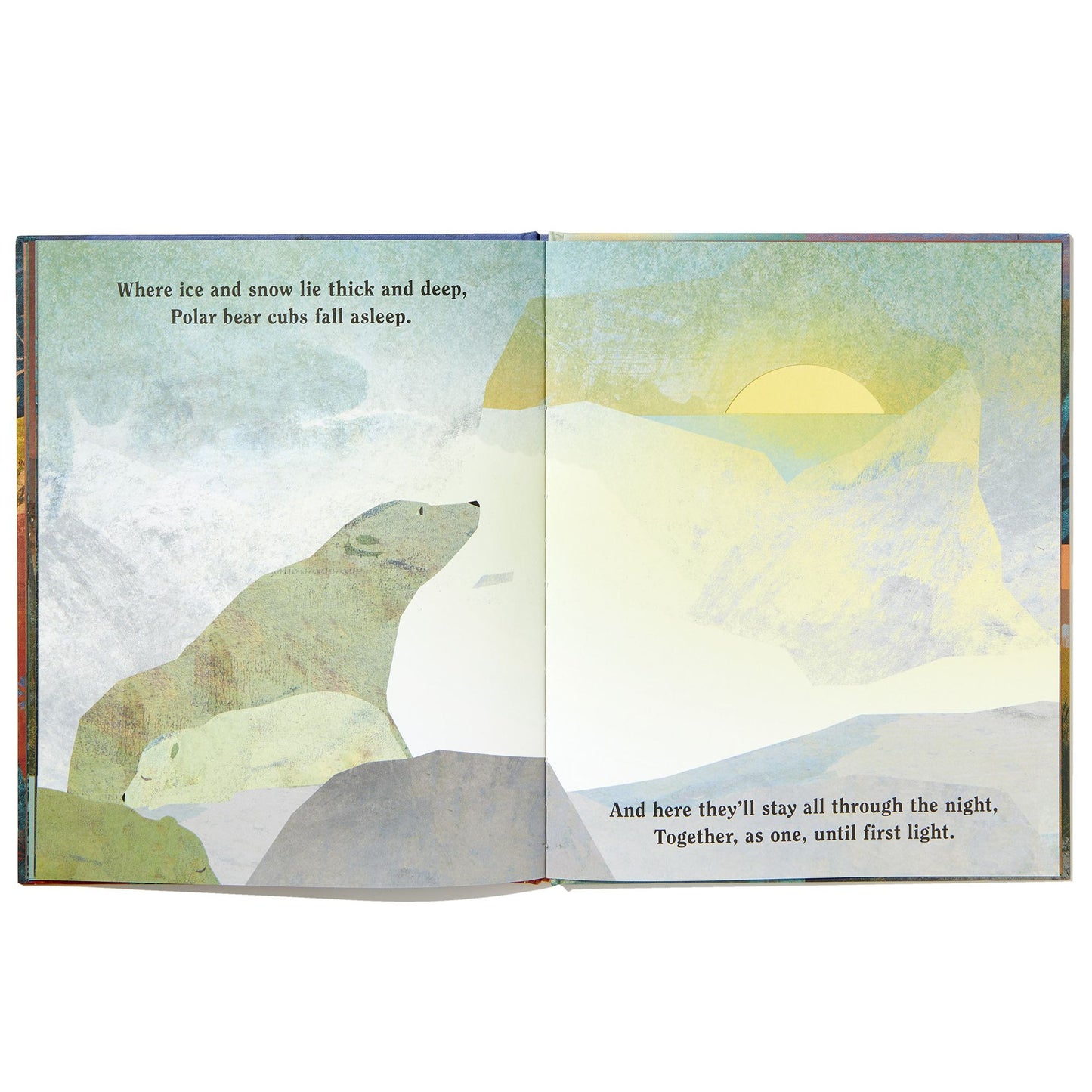Family: A Peek-Through Picture Book