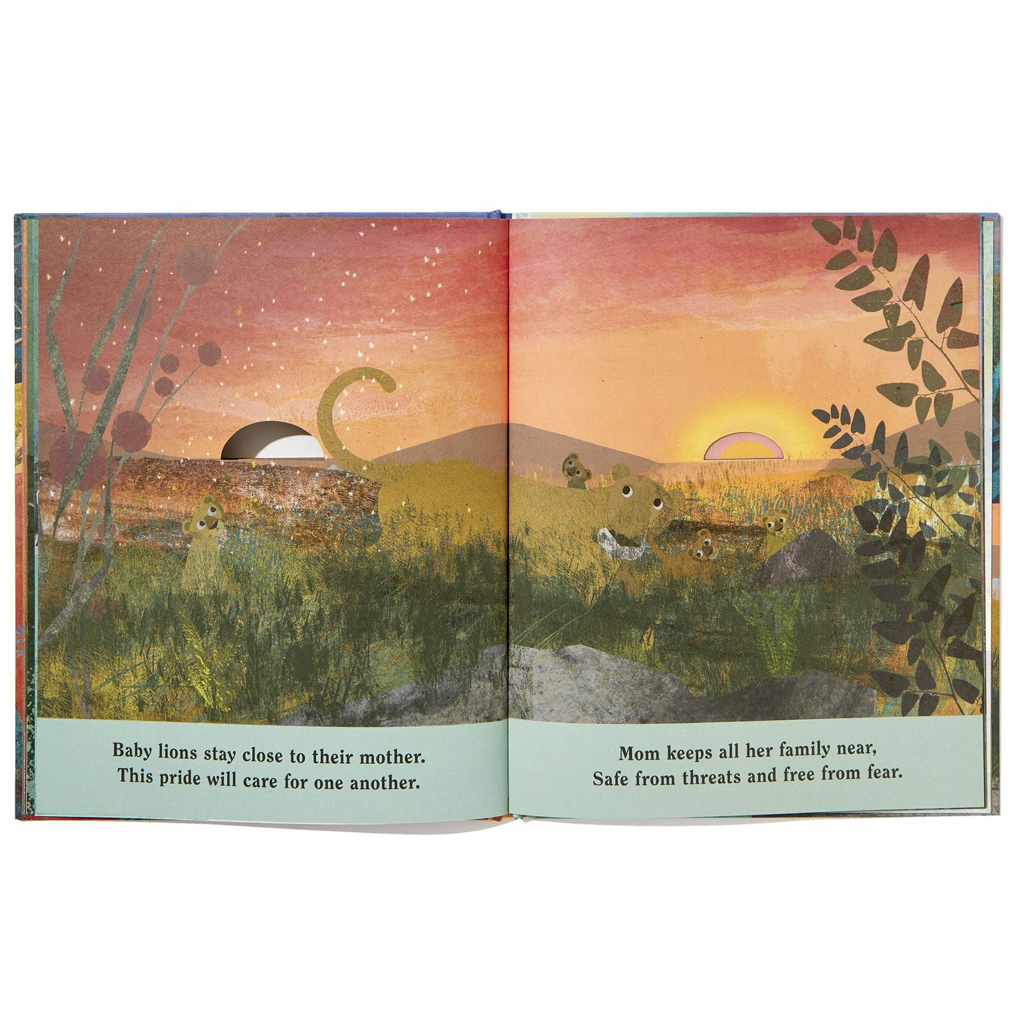 Family: A Peek-Through Picture Book