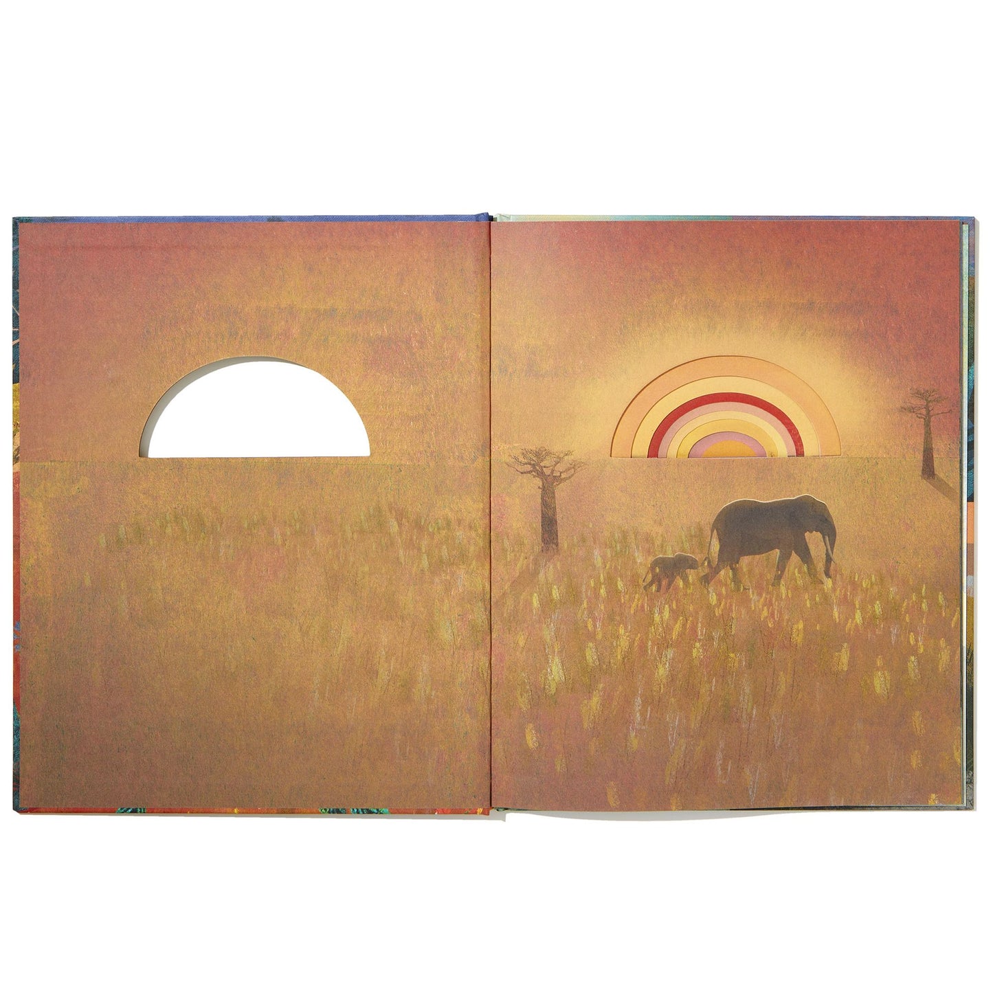 Family: A Peek-Through Picture Book