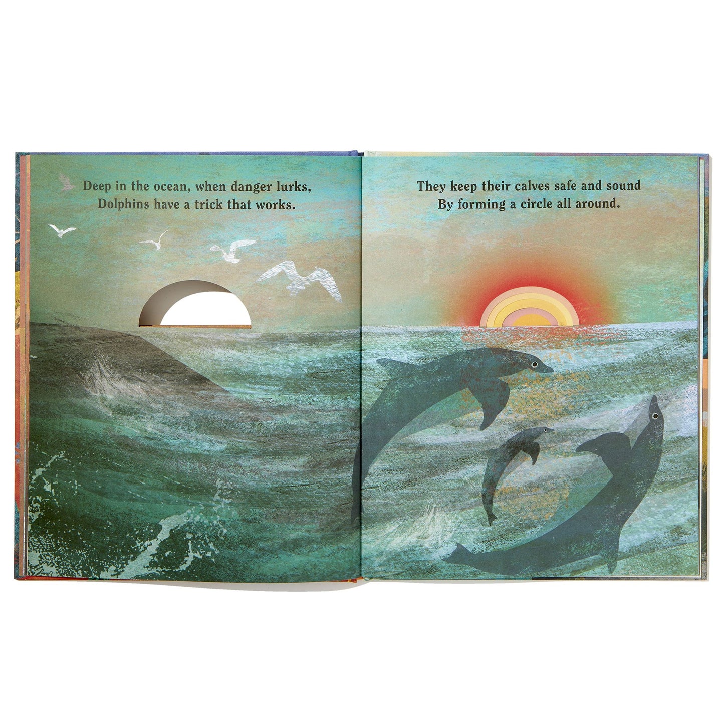 Family: A Peek-Through Picture Book