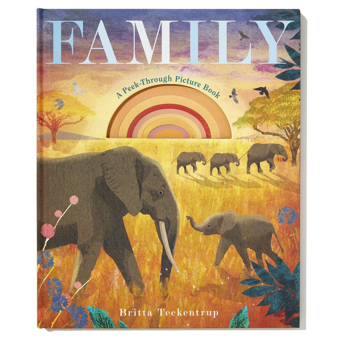 Family: A Peek-Through Picture Book