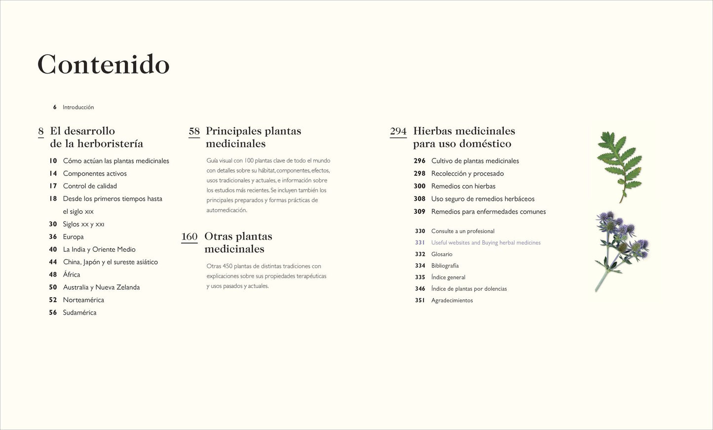 Enciclopedia de plantas medicinales (Encyclopedia of Herbal Medicine)