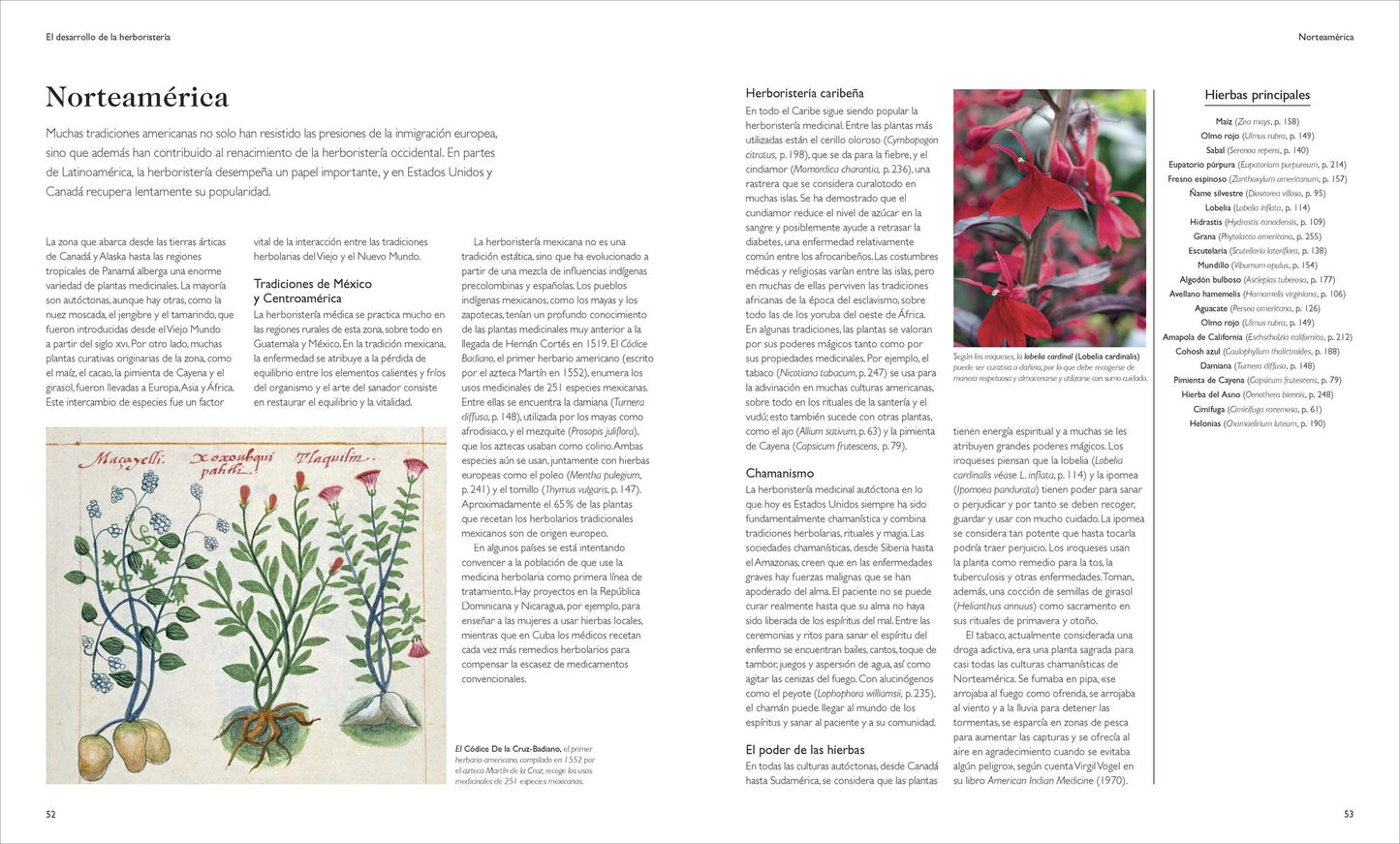 Enciclopedia de plantas medicinales (Encyclopedia of Herbal Medicine)