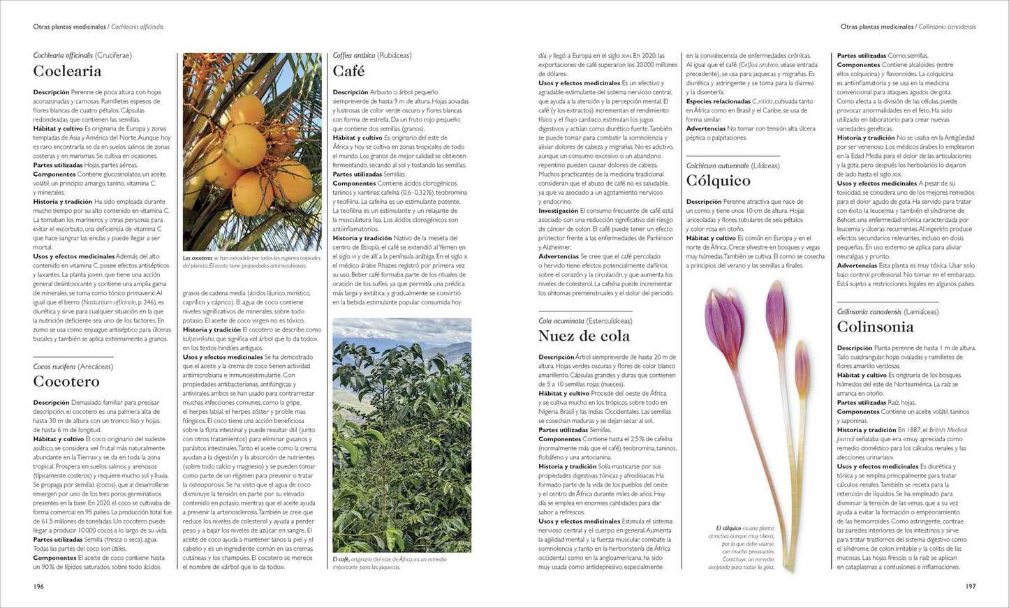Enciclopedia de plantas medicinales (Encyclopedia of Herbal Medicine)