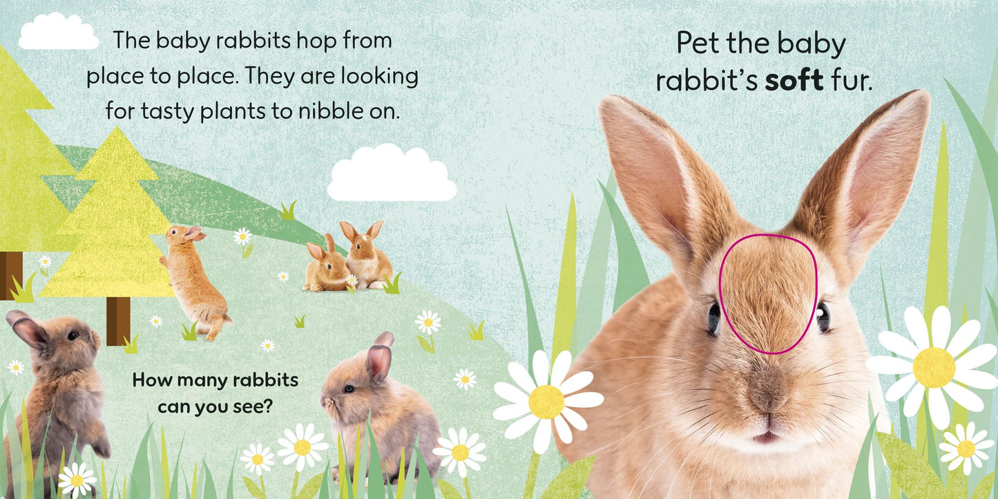 Touch and Feel Baby Animals: With Tactiles for Toddlers to Explore