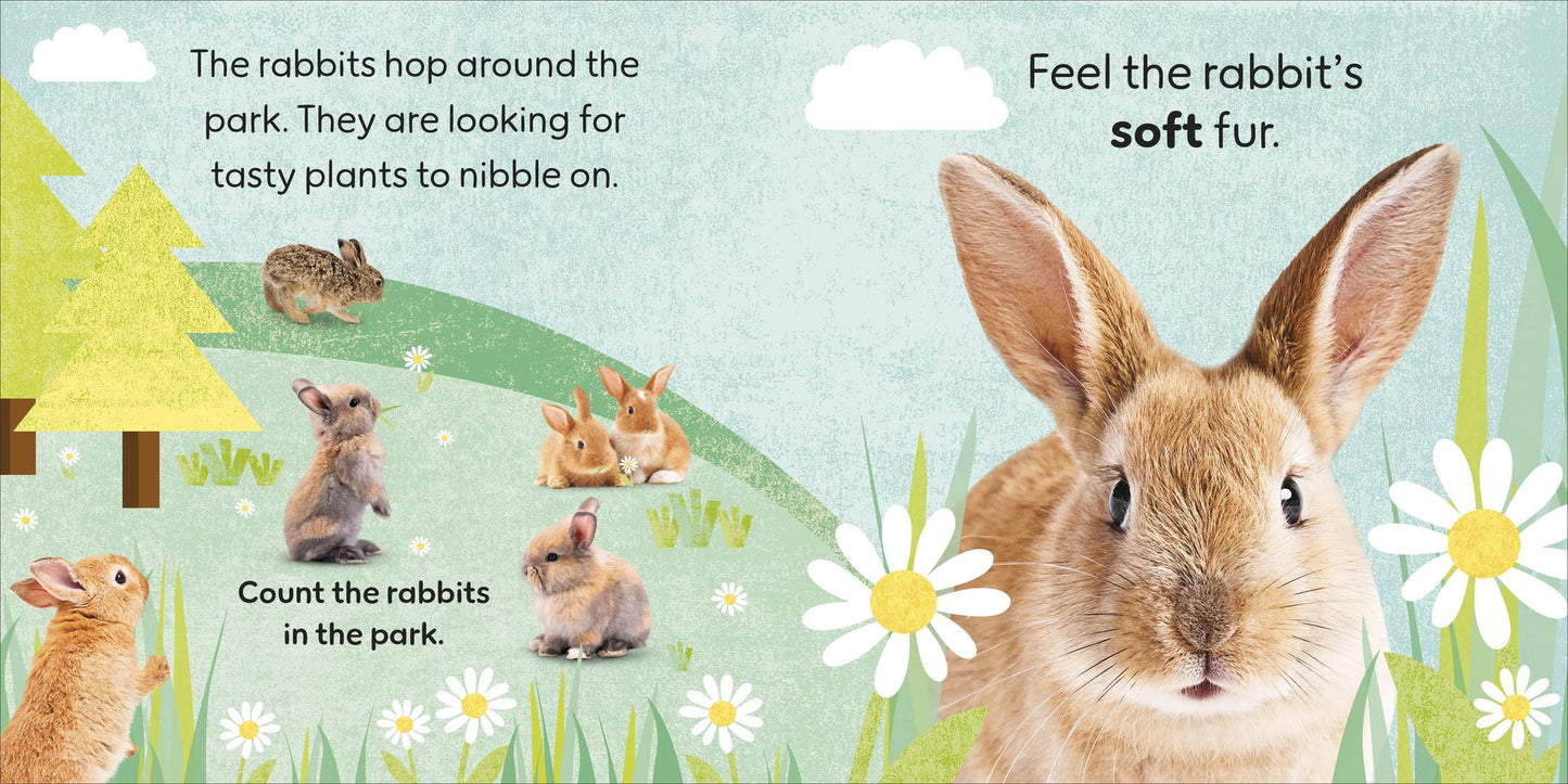 Touch and Feel Baby Animals: With Tactiles for Toddlers to Explore