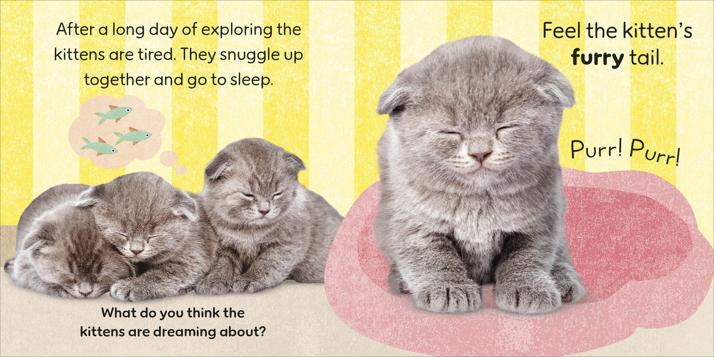 Touch and Feel Baby Animals: With Tactiles for Toddlers to Explore