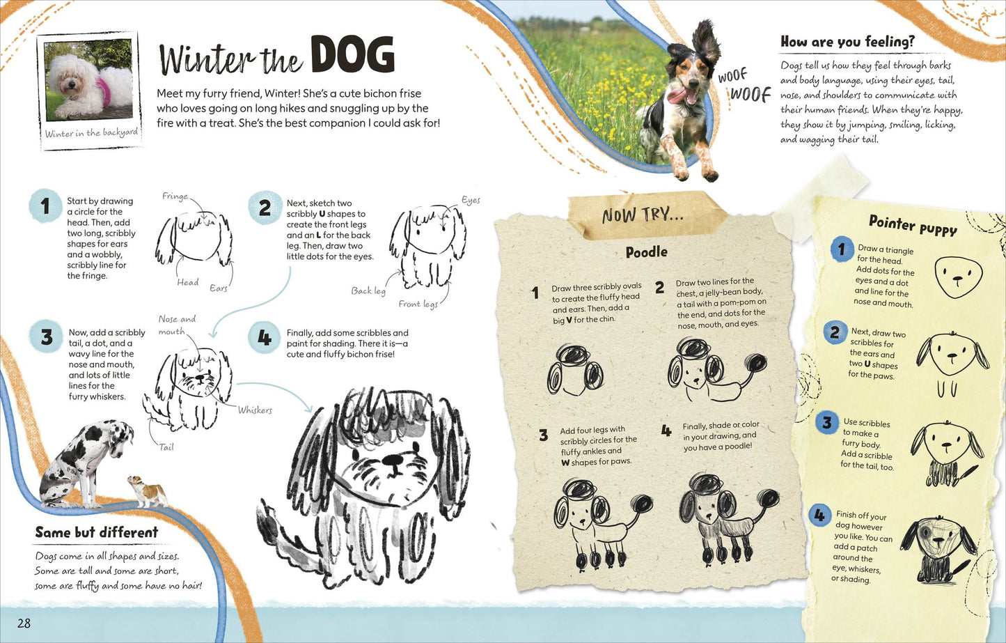 Draw Along Animals: Step-by-Step Projects for Artists of All Abilities