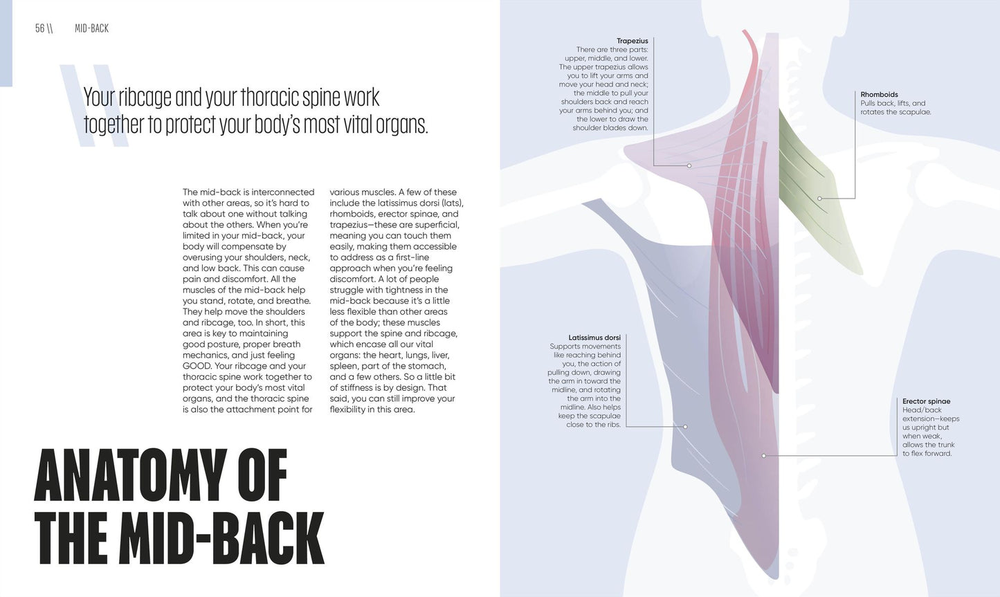 Yoga Fix: Functional Movement for a Pain-Free Body
