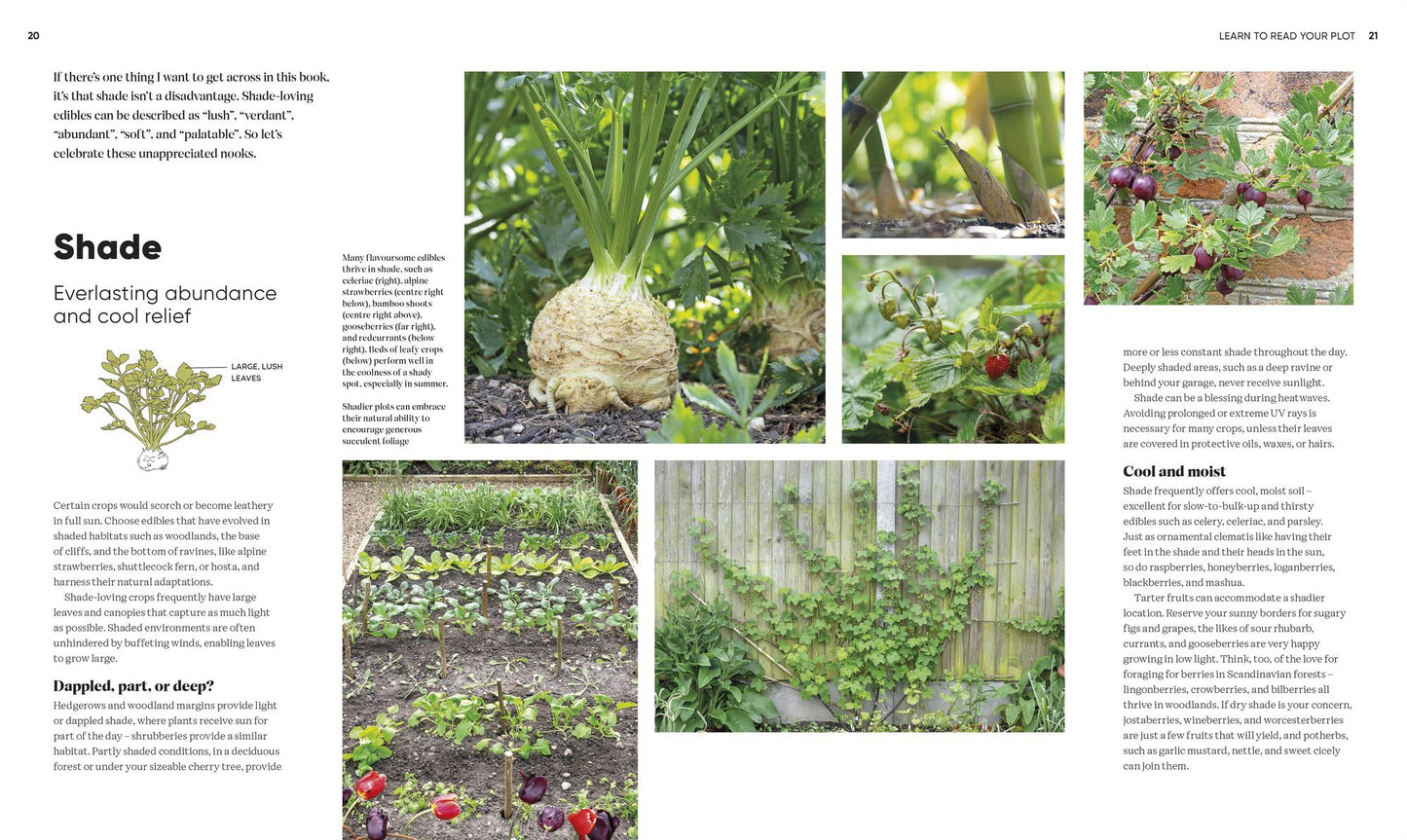 Grow Food Anywhere: How to Plant the Right Crops in the Right Places and Help Your Garden Thrive