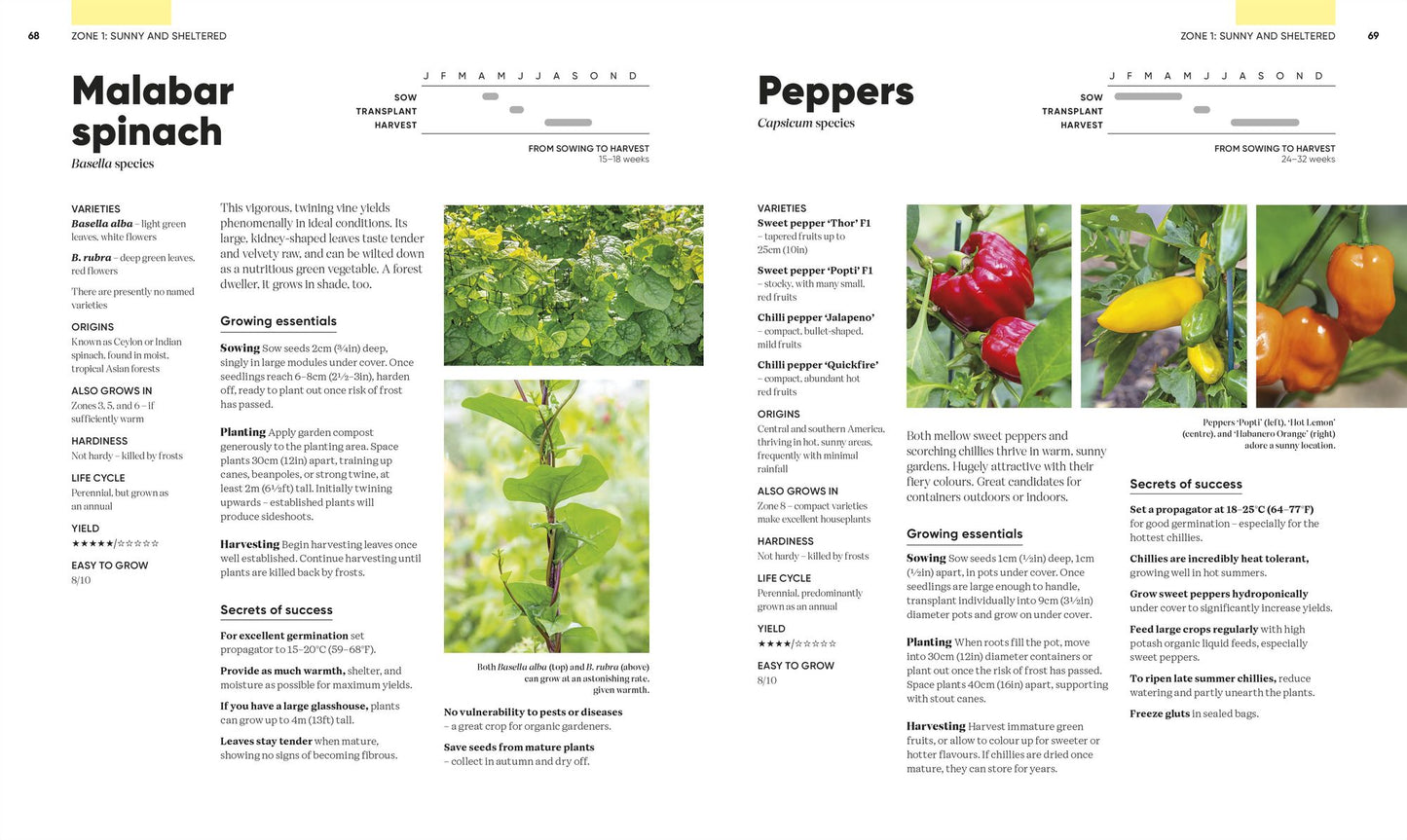 Grow Food Anywhere: How to Plant the Right Crops in the Right Places and Help Your Garden Thrive