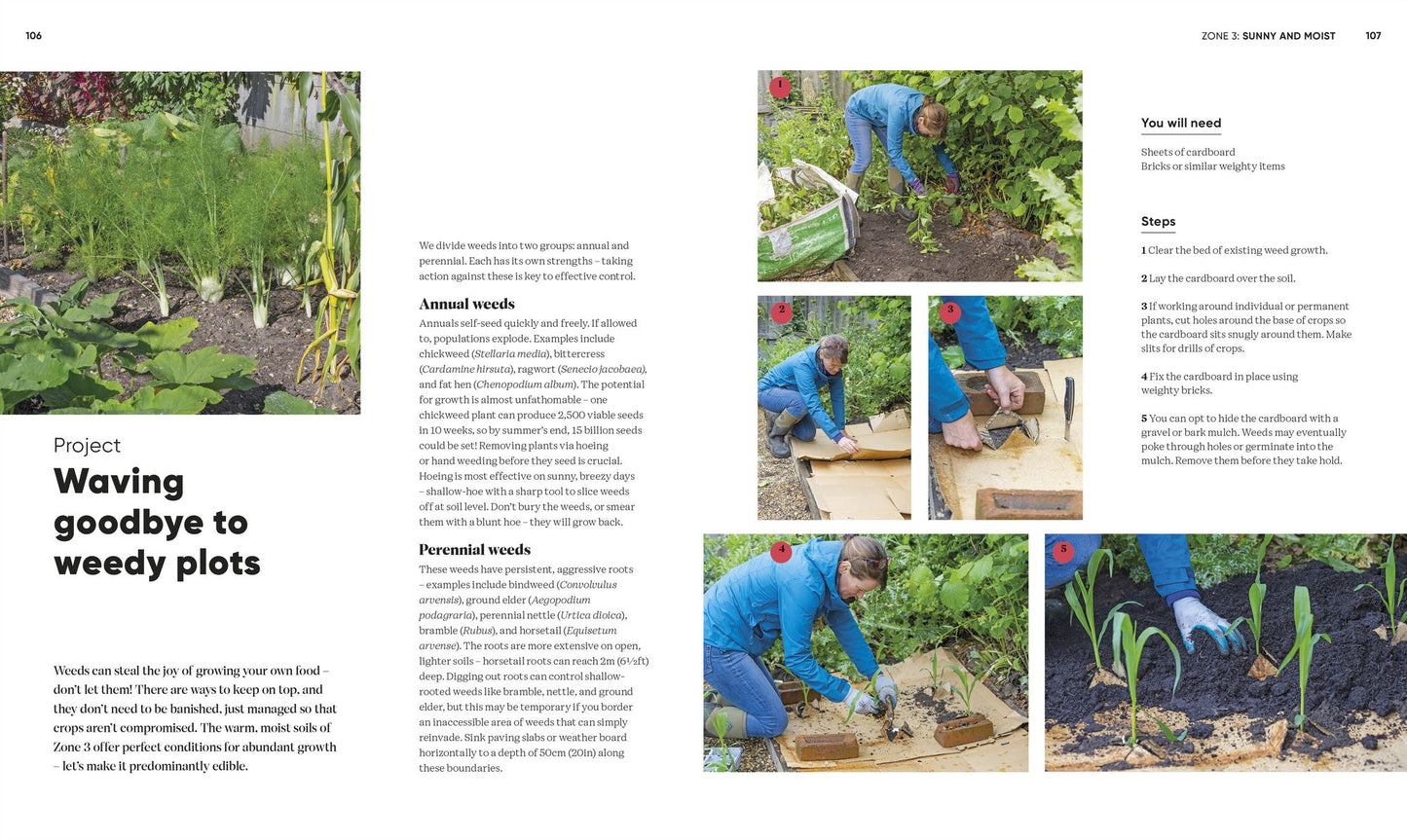 Grow Food Anywhere: How to Plant the Right Crops in the Right Places and Help Your Garden Thrive