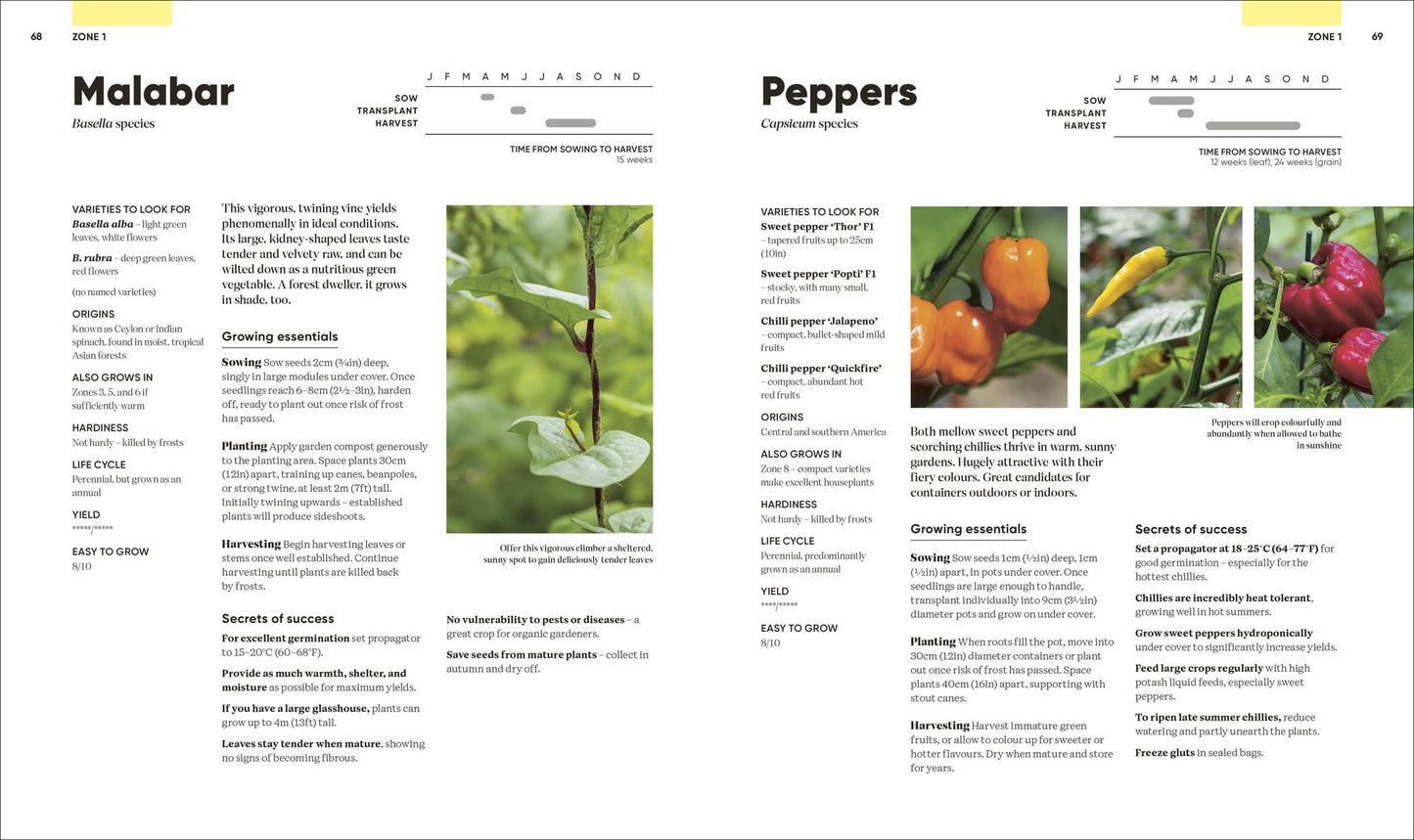 Grow Food Anywhere: How to Plant the Right Crops in the Right Places and Help Your Garden Thrive
