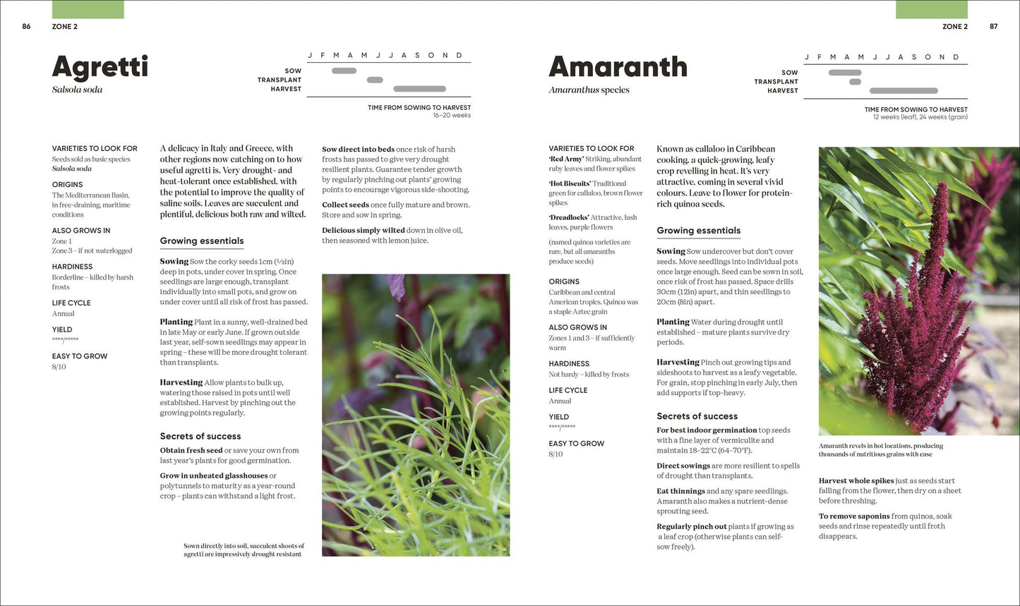 Grow Food Anywhere: How to Plant the Right Crops in the Right Places and Help Your Garden Thrive
