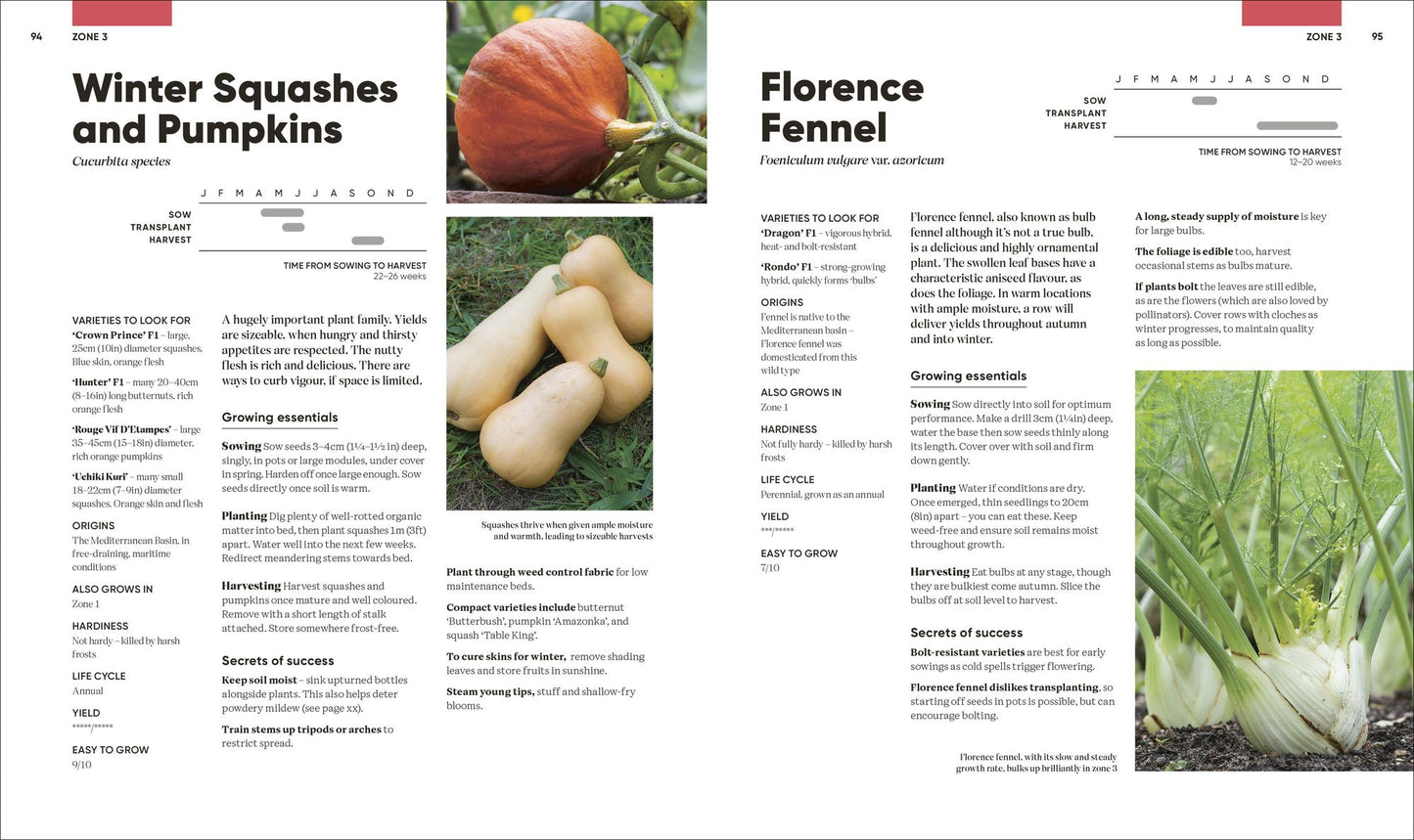 Grow Food Anywhere: How to Plant the Right Crops in the Right Places and Help Your Garden Thrive