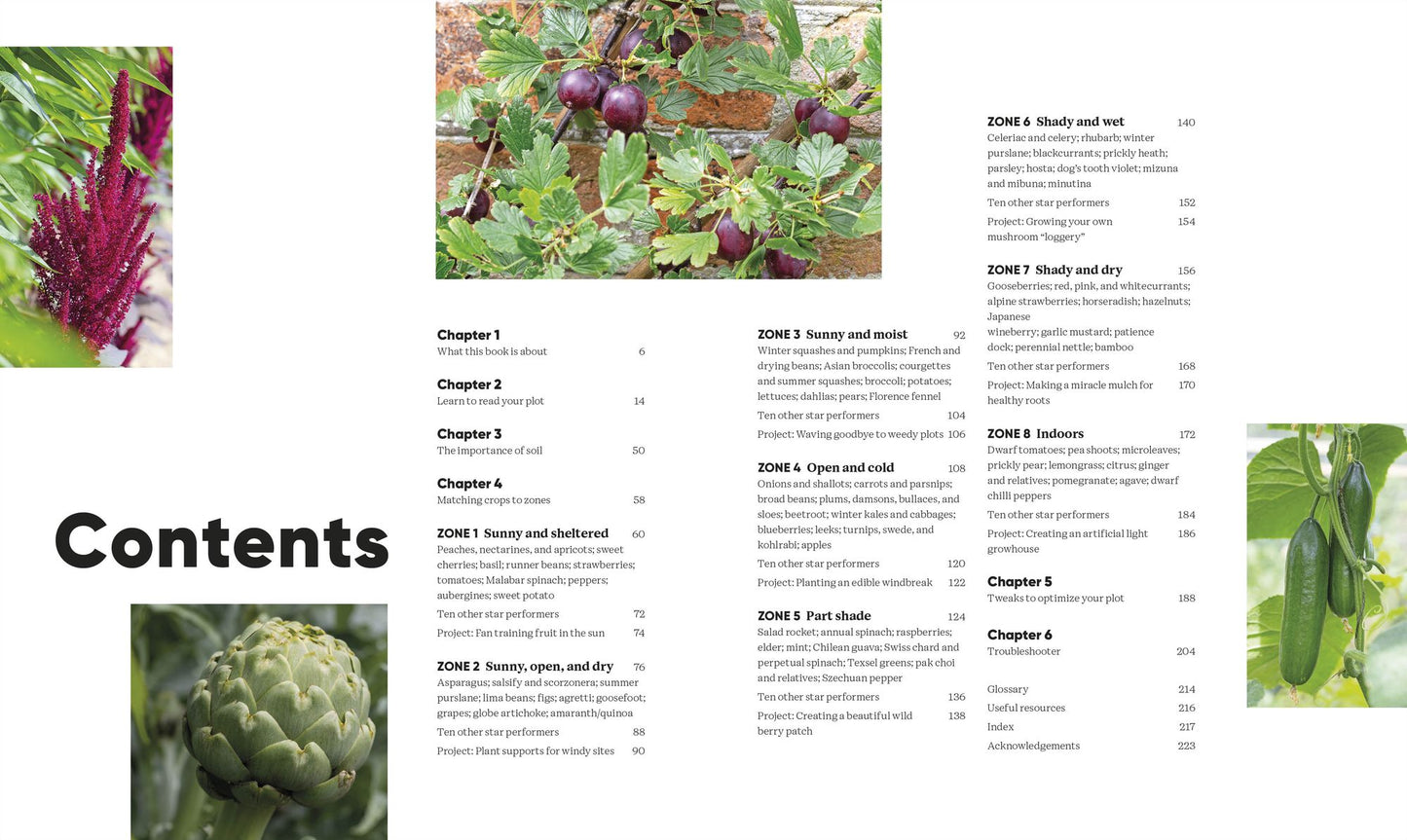 Grow Food Anywhere: How to Plant the Right Crops in the Right Places and Help Your Garden Thrive