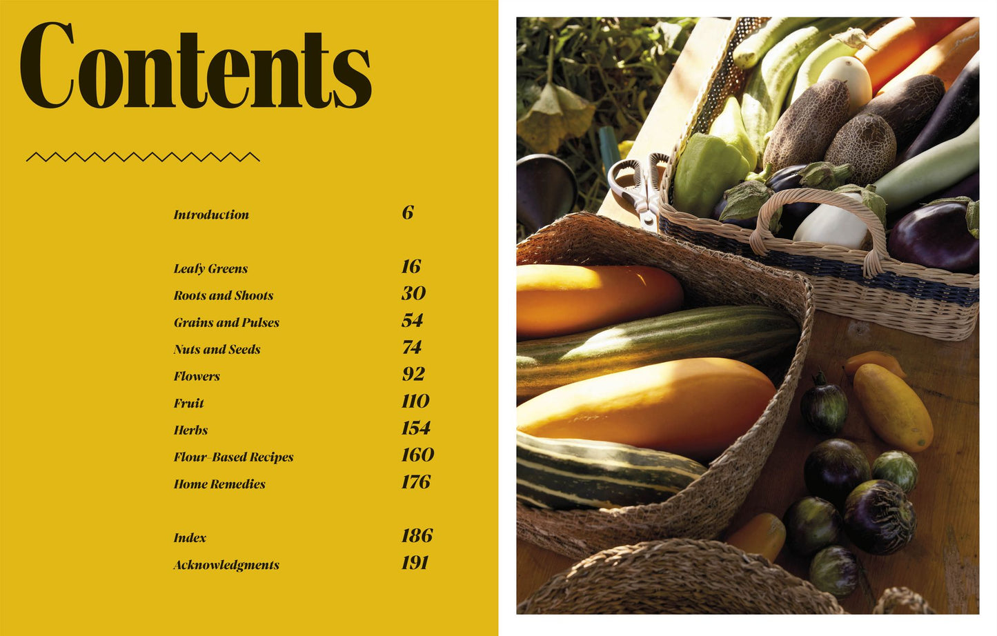 Low Waste Kitchen: Radical Recipes for Sustainable Living