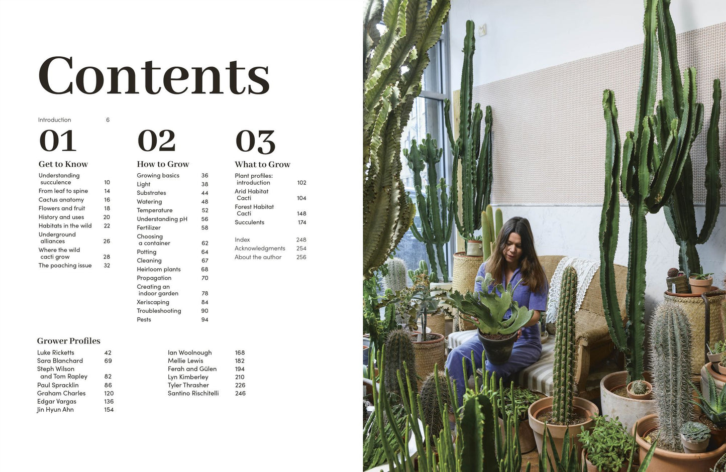 Cacti and Succulents: How to Handle Prickly Plants with Care