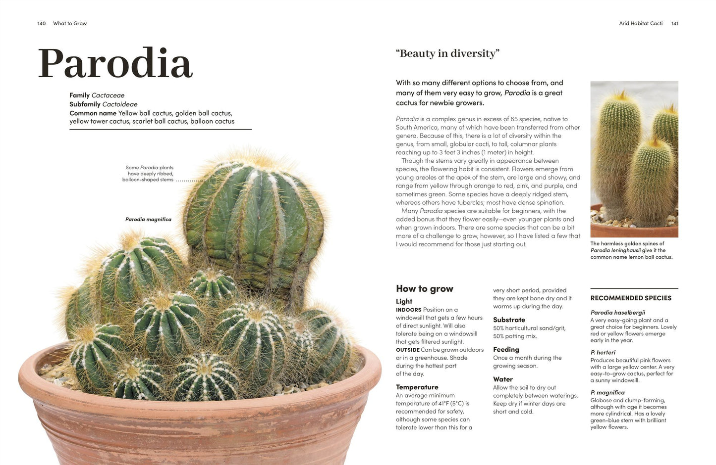 Cacti and Succulents: How to Handle Prickly Plants with Care