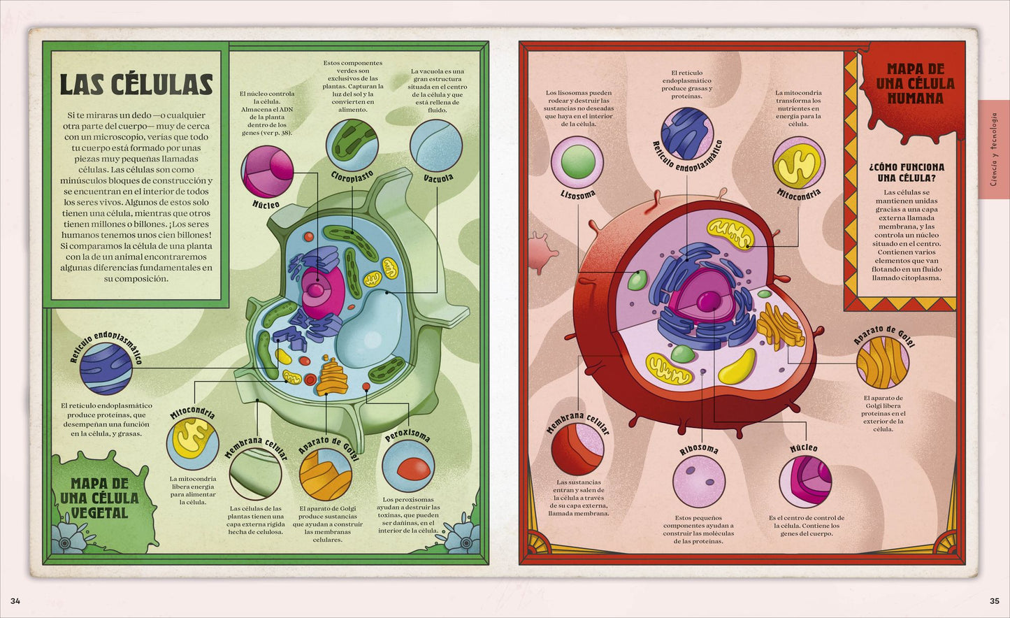 ¡Explora! (Explore): Descubre un mundo de conocimiento con cientos de mapas y diagramas