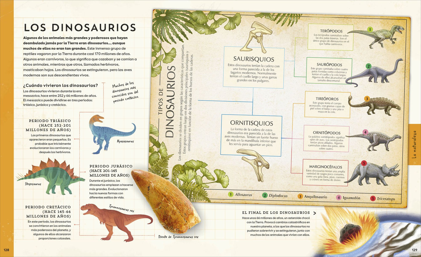¡Explora! (Explore): Descubre un mundo de conocimiento con cientos de mapas y diagramas
