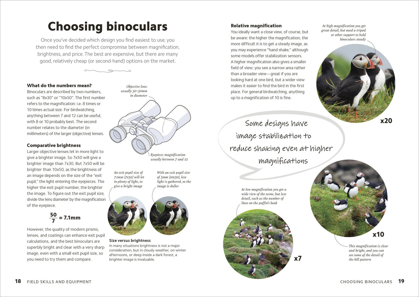 Birdwatching Guide: Turn Yourself into a Birdwatching Expert