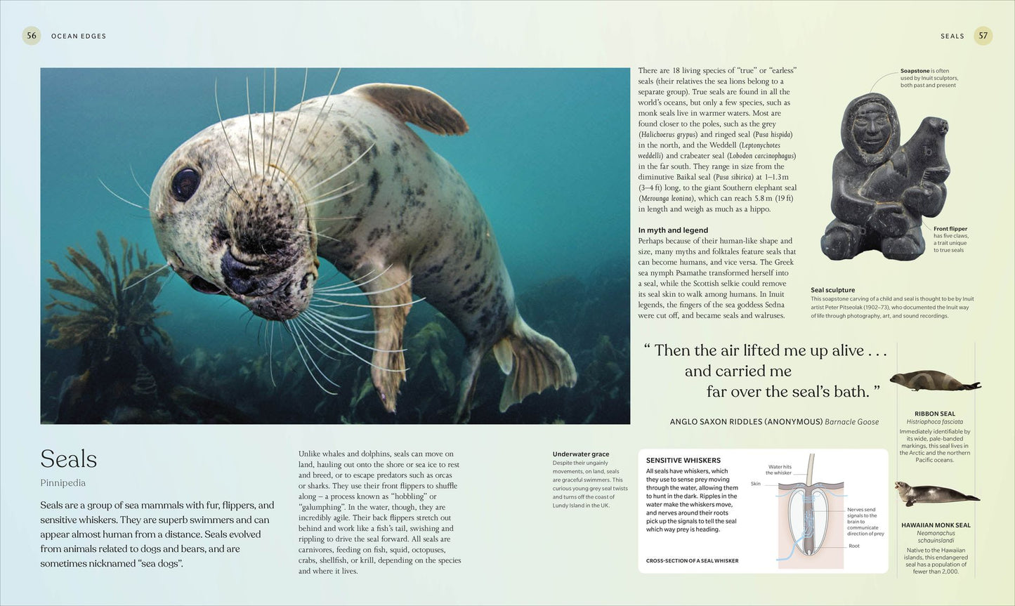 The Ocean Book: The Stories, Science, and History of Oceans